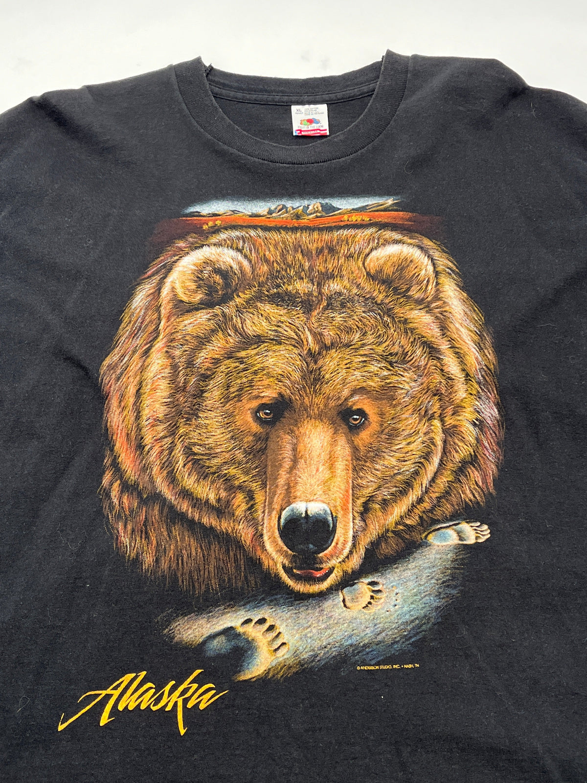 Vintage Grizzly Bear Alaska Tee