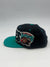 Vancouver Grizzlies Mitchell and Ness Snapback